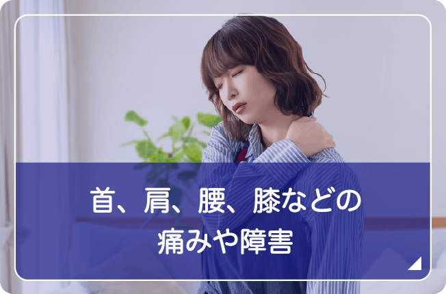 首、肩、腰、膝などの痛みや障害